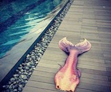 Finfolk Custom Mermaid Tails