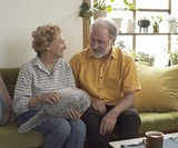Qoobo Therapeutic Robot Pillow