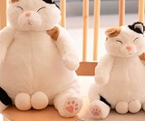 Unneutered Cat Stuffed Animal