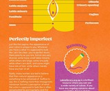 The Penis / The Vagina: An Owner's Guide