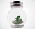 1" Pet T-Rex Terrarium with Adoption Certificate 1" Pet T-Rex Terrarium with Adoption Certificate
