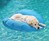 Dog Pool Float & Lounger Dog Pool Float & Lounger