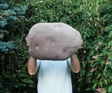 Velvet Potato Pillow