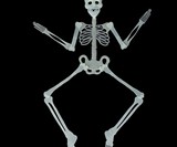 Glow-in-the-Dark Climbing Skeleton Props