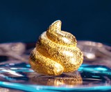 Lucky Golden Poo