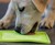 Hyper Pet Lickimat - Slow Feeder Dog Mat Hyper Pet Lickimat - Slow Feeder Dog Mat
