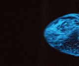 Dino Living Marine Plankton Sphere