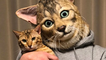 [ET] of the Best Gifts for Cat Lovers