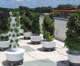Tower Garden Growing System