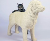 Dog Cat Scratching Post