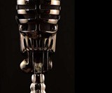 Skull Microphones