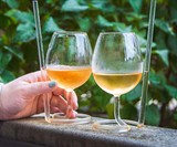 SIPSIP Wine Glass - The Wine Glass with a Straw