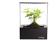 EcoQube Air Desktop Greenhouse