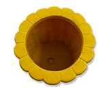 Giant Corn Planter