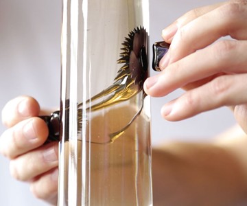 Inspired Designs Ferrofluid Set