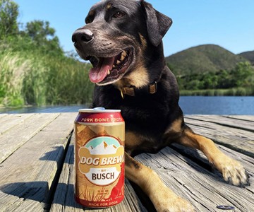 Busch Dog Brew Busch Dog Brew