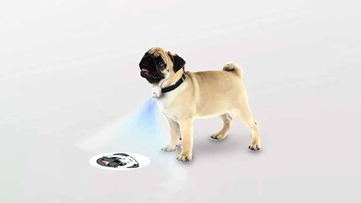 LED Dog Projector for Dog Collars