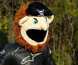 Furry Friends & Fiends Motorcycle Helmet Covers