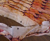 Fou Lard Bacon Scarf