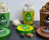Cado Avocado Ice Cream