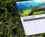 Nature's D*ck Pics 2018 Wall Calendar