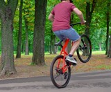 Indoor Wheelie Trainer