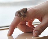 Sloth Ring