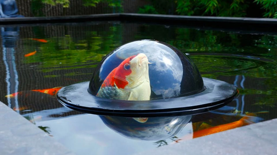 Velda Floating Pond Bubble Velda Floating Pond Bubble