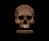 Human Skull Chocolates Human Skull Chocolates