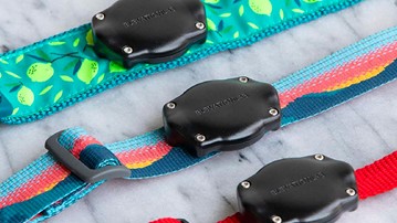TagVault Pet - Waterproof AirTag Dog Collar Mount TagVault Pet - Waterproof AirTag Dog Collar Mount