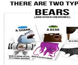 Bears vs. Babies Monster-Building Card Game