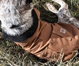 Carhartt Firm Duck Insulated Dog Chore Coat