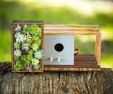 Modern Birdhouses