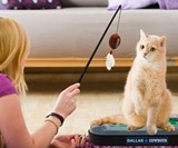 NFL Football Field Cat Scratcher Toy