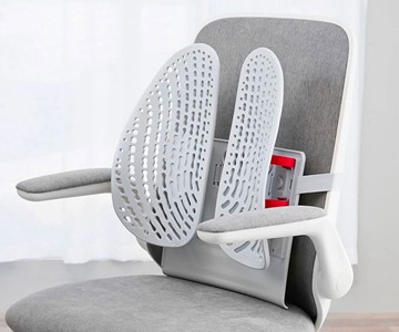 LEBAND Lumbar Back Support for Office Chairs LEBAND Lumbar Back Support for Office Chairs
