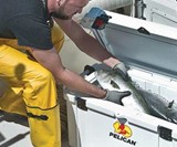 Elite Marine Coolers