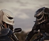 Predator