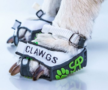 Clawgs - Dog Shoes That Allow Dogs to Use Their Claws Clawgs - Dog Shoes That Allow Dogs to Use Their Claws