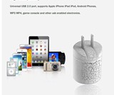 Electrical Storm Dual USB Power Adapter
