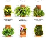terraplanter Inside-Out Hydroponic Planter