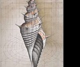Golden Ratio Coloring Book