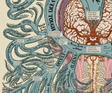 The Map of Zombies