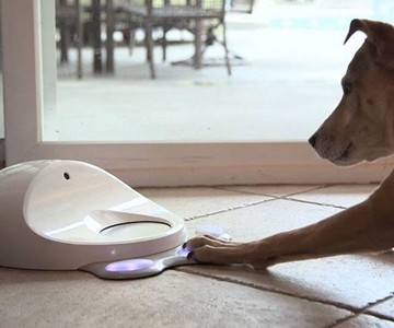CleverPet Dog Gaming Console CleverPet Dog Gaming Console
