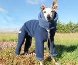 Dog Snowsuit