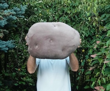 Velvet Potato Pillow