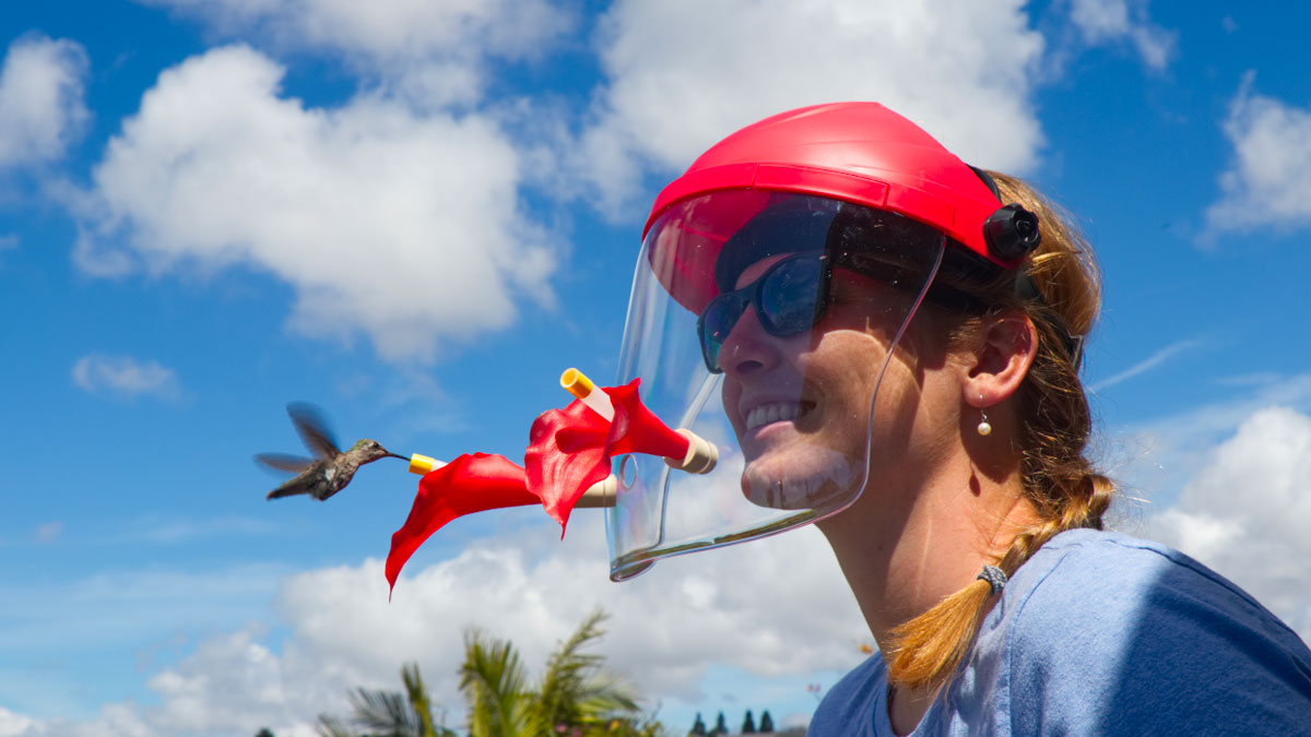 HummViewer Wearable Hummingbird Feeder HummViewer Wearable Hummingbird Feeder