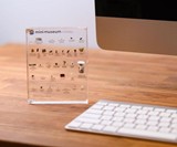 Mini Museum - Portable Curiosities Collection