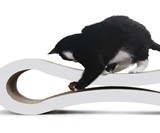 The Ultimate Cat Scratcher Lounge