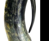 Game of Thrones Drinking Horns