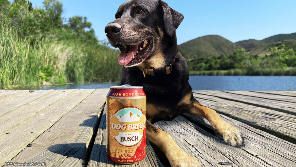 Busch Dog Brew Busch Dog Brew